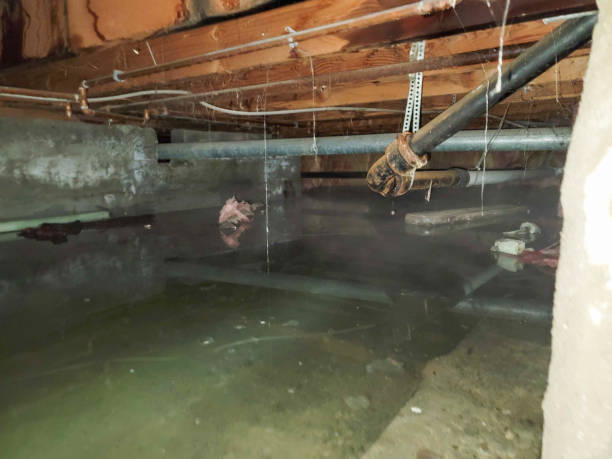 Best Water damage restoration near me  in Prosper, TX