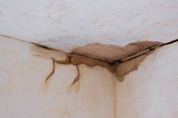 Best Residential water damage restoration  in Prosper, TX